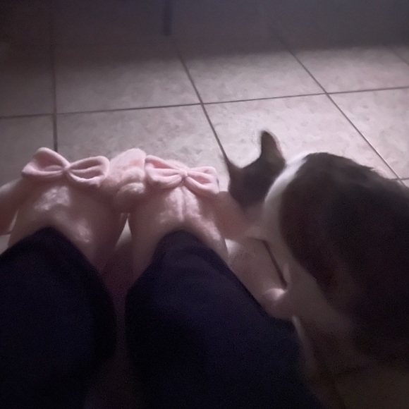 Meet your Posher, Inky - Picture 1 of 1